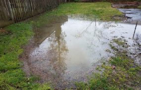Large Puddle in Lawn — Leak Detection in Tweed Heads, NSW