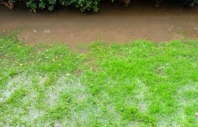 Flooded Lawn From The Rain — Leak Detection in Tweed Heads, NSW
